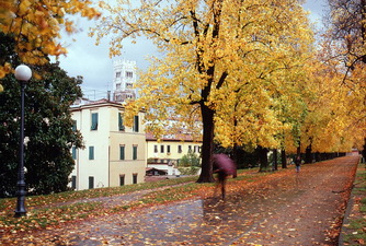 walls of lucca